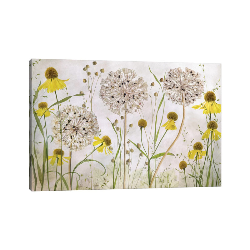 Alliums And Heleniums by Mandy Disher - Print on Canvas, Wrapped Canvas, 66.04cm H x 101.6cm W x 3.81cm D