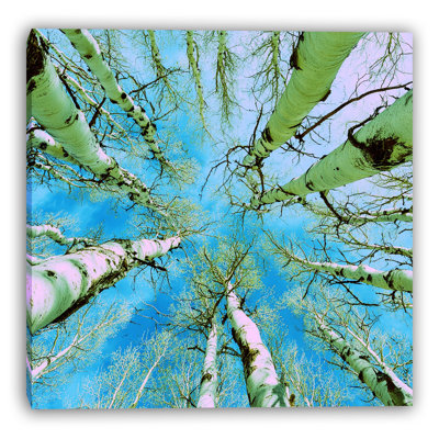 Toile tendue Pop Aspen Sky
