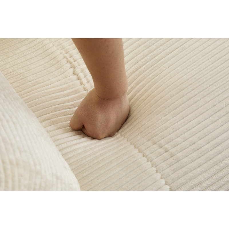 Canapé modulaire en velours côtelé à 3 places pour animaux de compagnie, rembourrage haute densité, sans assemblage pour décor de chambre à coucher, soirées cinéma