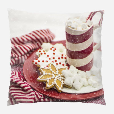 Canvas Outdoor Reversible Throw Pillow