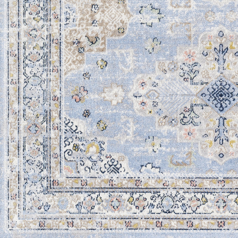 Omama Oriental Indoor Rug, Rectangle 5'3" x 7'