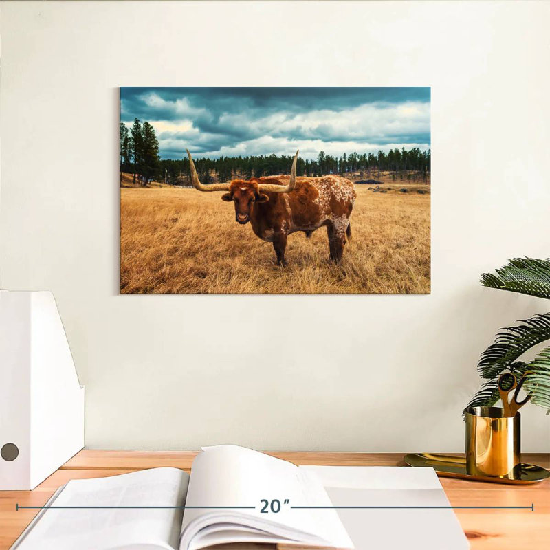 Brampt Texas Longhorn At Custer Park, 8" H x 12" W