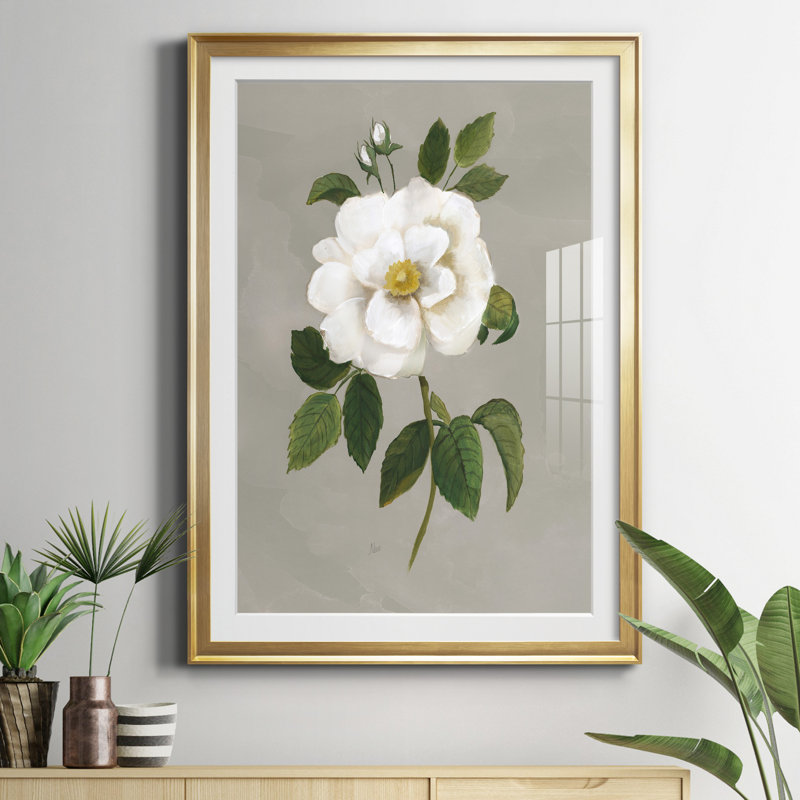Botanical Garden Rose - Reproduction d'art sur papier encadrée, Doré, H 26,5 po x l 36,5 po x P 1,5 po