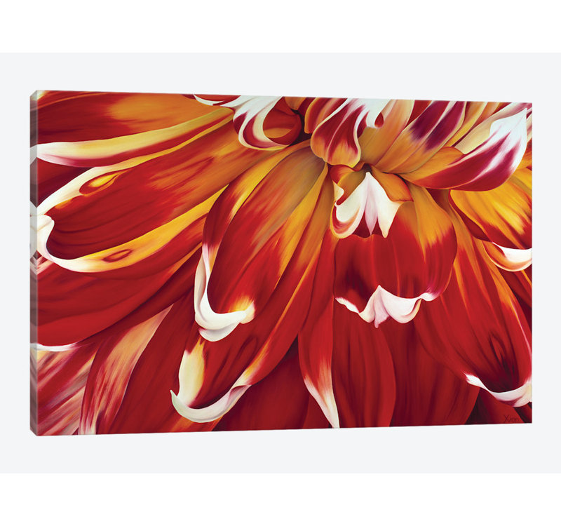 « redony », impression sur toile, H 18 po x l 26 po x P 1,5 po, Pas de tapis, Toile tendue