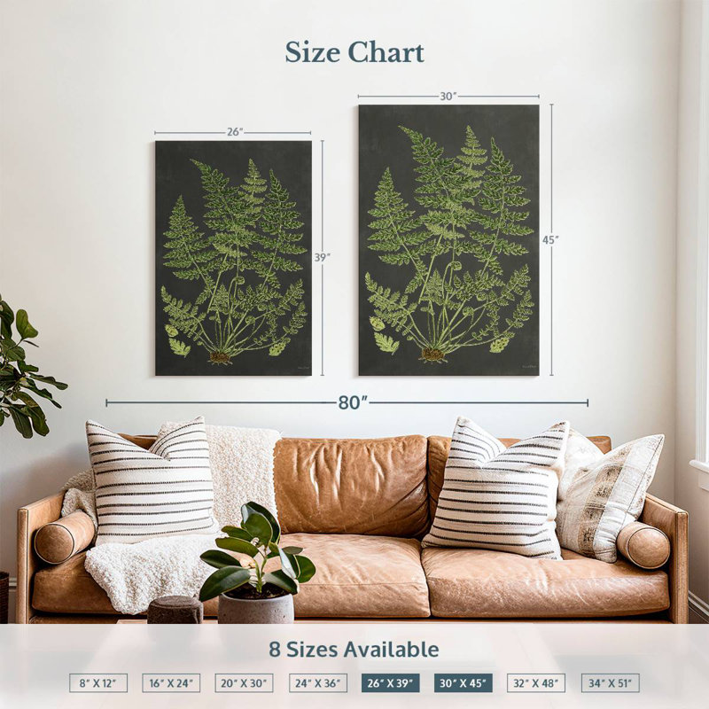 Harnek Fern Study, H 39 po x l 26 po
