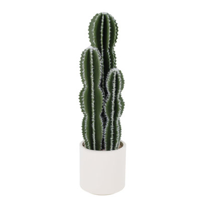 84cm Plant