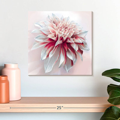 Harnek Red White Dahlia