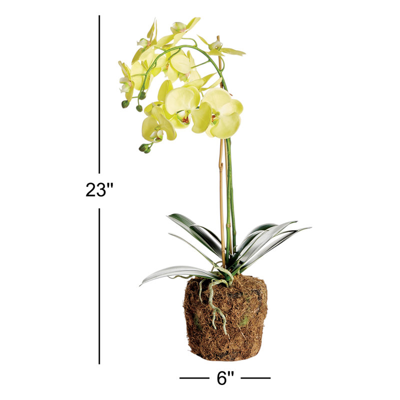 Phalaenopsis Orchid Drop-In 23"