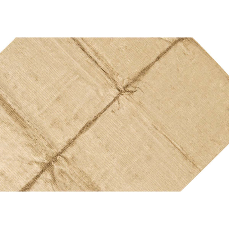 Area Rug in Beige