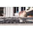 Munn Animal Print Indoor / Outdoor Rug-1146657851