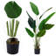 Faux Plant in Nursery Pot-699776885