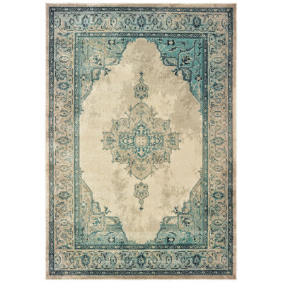 Haun Oriental Indoor Rug