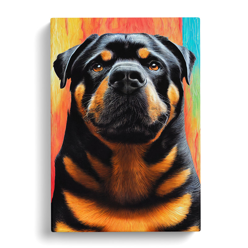 Rottweiler In Colour - Wrapped Canvas, 50cm H x 35cm W x 3cm D