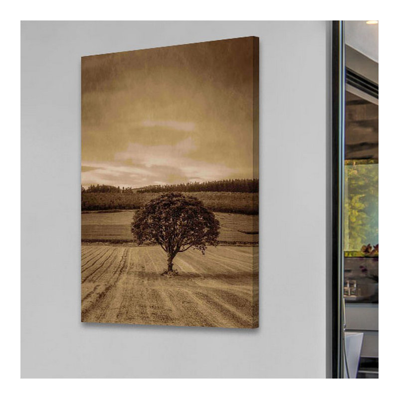 Lone Tree At Sunset by Don Schwartz - Wrapped Canvas Print, 152cm H x 102cm W x 4cm D