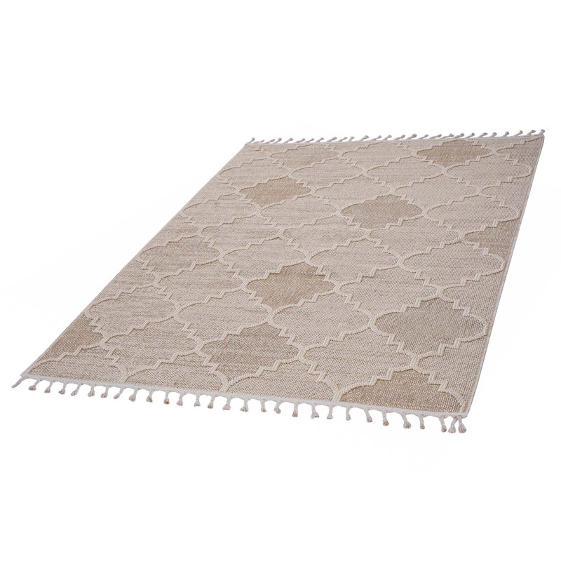 Collection Trellis Indoor/Outdoor Area Rug, Rectangle 7'9" x 10'