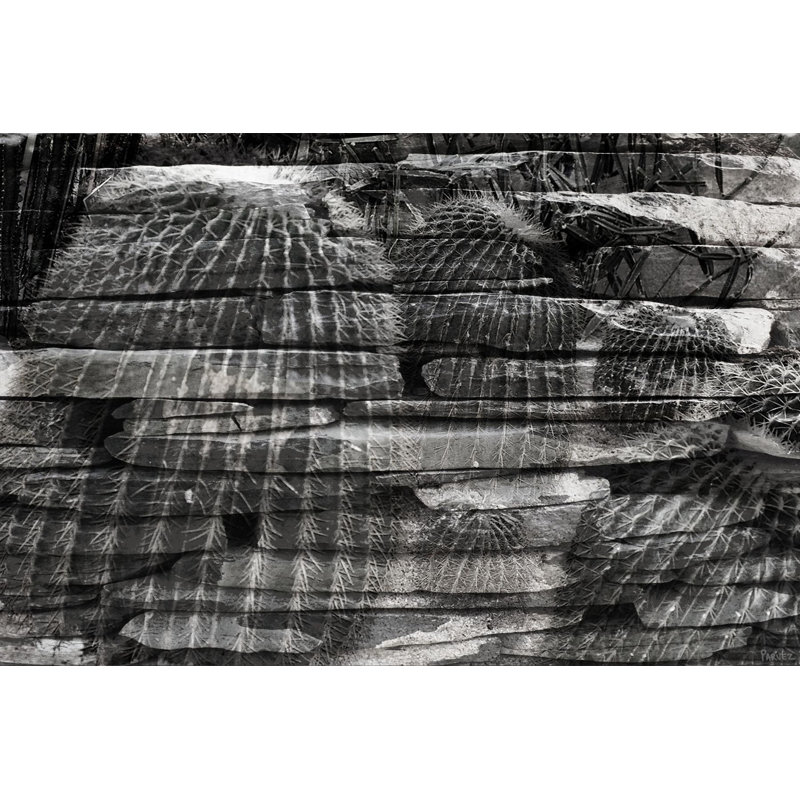 Parvez Taj - Wrapped Canvas Print, 41cm H x 61cm W