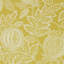 Cantaloupe Wallpaper-50889015