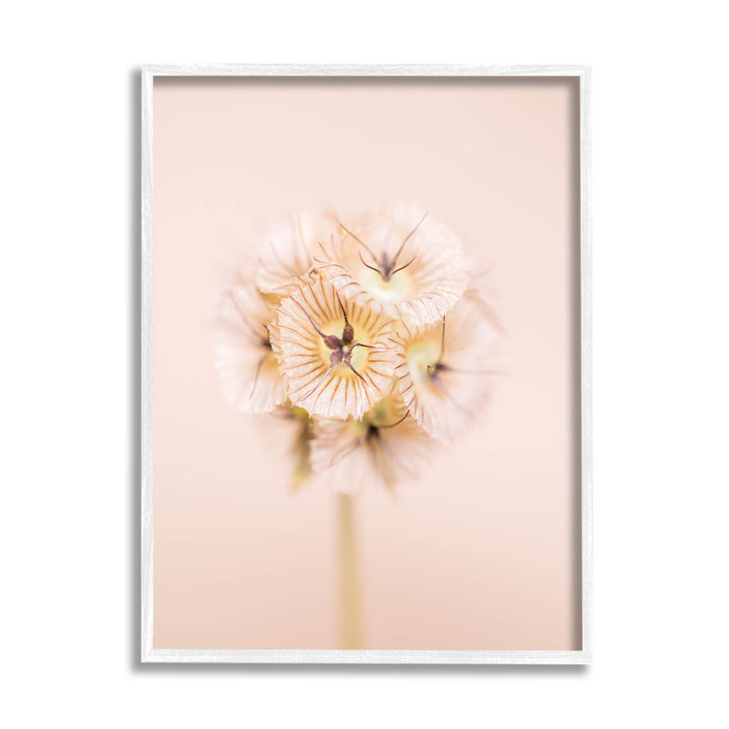 Brin de fleur pastel rose par Renee W. Stramel - photographie, H 30 po x l 24 po x P 1,5 po