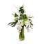 SPLIT PHILO ORCHID IN VASE