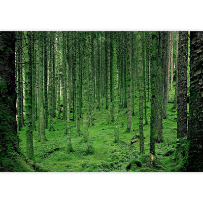 Spring Summer Neon Green Forest Trees