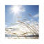 Beach Horizon Print by Henrik Lund-26775837-26775841