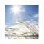 Beach Horizon Print by Henrik Lund-26775840-26775839