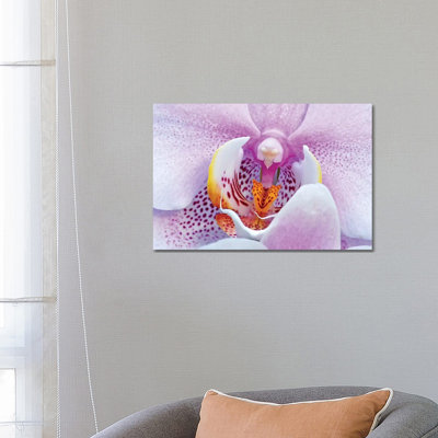 Orchid 1 Piece Wrapped Canvas Wall Art