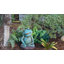 Statue de grenouille pensative sleep Seidel-1492081513