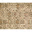 Hand Knotted Area Rug in Ivory