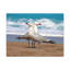 No Frame Print on Canvas-709195234