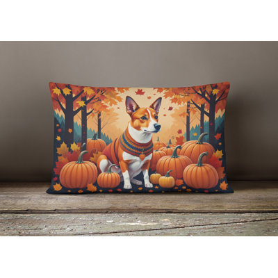Other/No Pattern Outdoor Throw Pillow