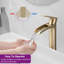 Single-Hole Single-handle Bathroom Faucet with Drain Assembly-87393557