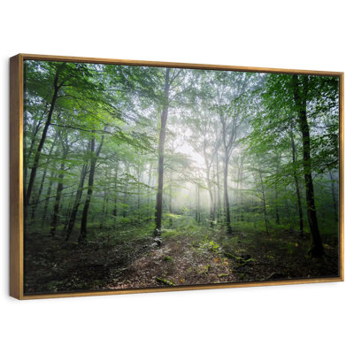 Lighting Forest II