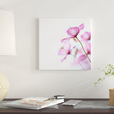 " Pink Clematis " by Alyson Fennell