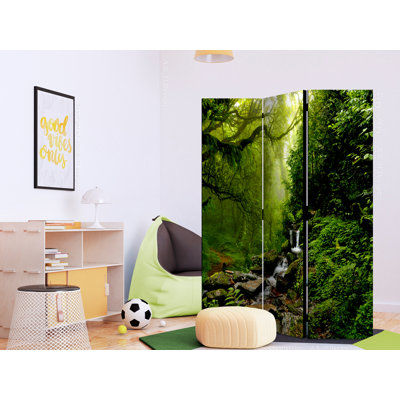 135cm W x 172cm H 3 - Panel Wood Folding Room Divider