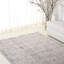 Oriental Area Rug in Grey / Ivory-1755028843