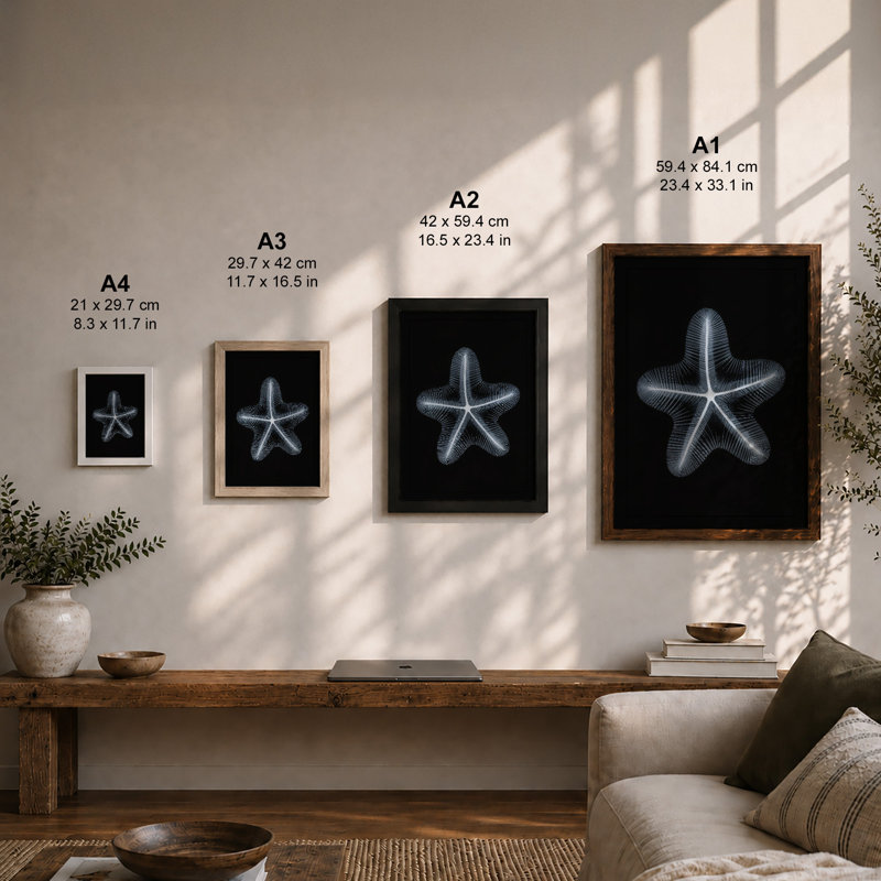 Specimen Starfish Minimalist - Framed Print, Unframed, A3 - 42.0 x 29.7 cm