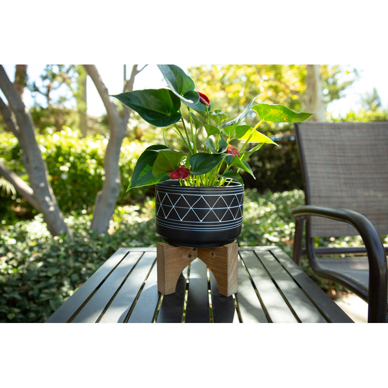Angelyka Handmade Pot Planter, Black/White, 8.13'' H x 7.5'' W x 7.5'' D