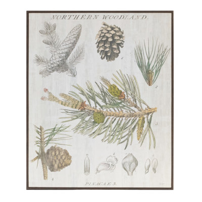 Reproduction encadrée encadrée de pin H 15,5 po