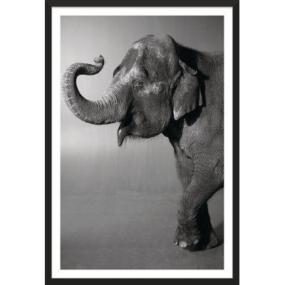 Belle Print by Trunk Archive