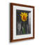 «Midnight Tulip», reproduction encadrée prémium-944445444-944445446-944282701