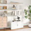 Display Cabinet-120640360