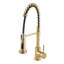 Fairmont Park Aajah Pull Down Kitchen Faucet