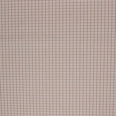Suite Fabric