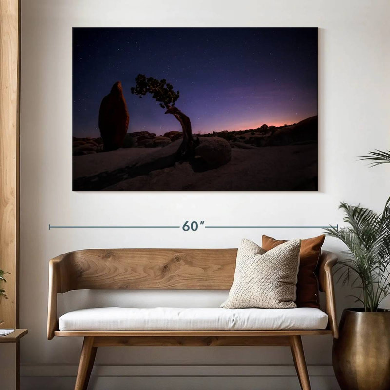 Nicci Joshua Tree Night Landscape, 34'' H x 51'' W