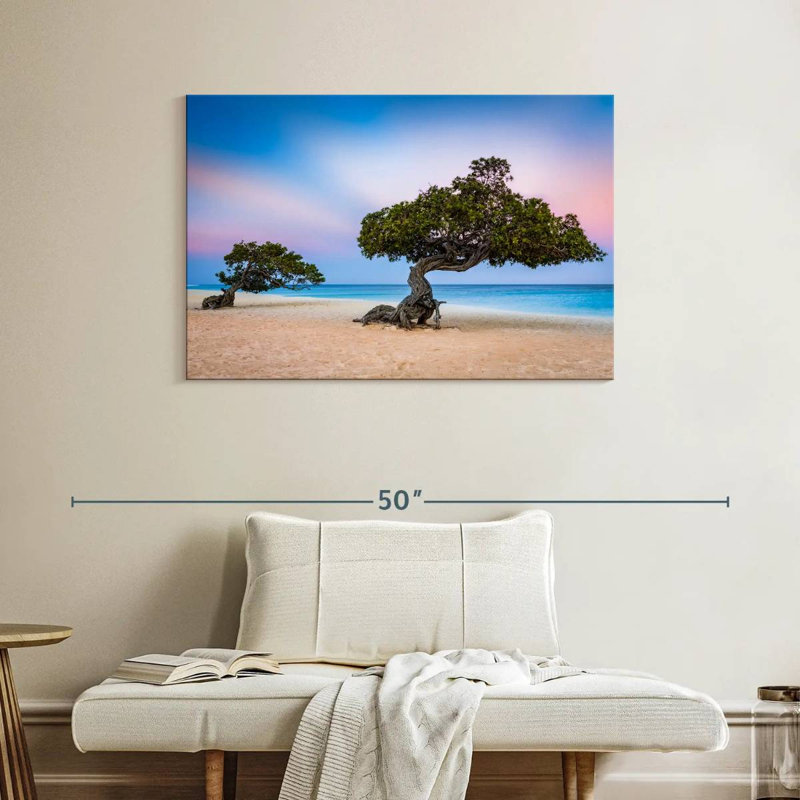 Harnek Divi Divi Trees, H 26 po x l 39 po