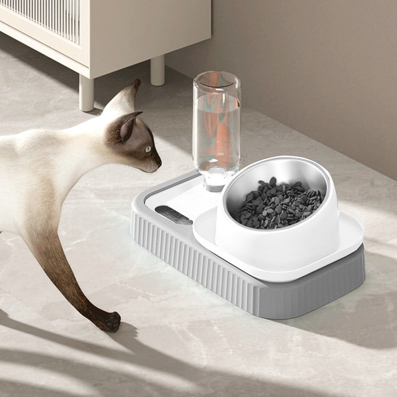 Cats Bowl, Blanc