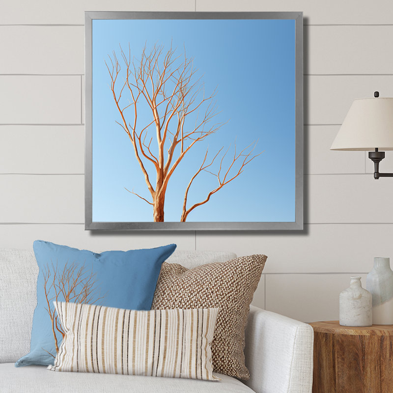 «Blue Timbers Trace Photo I», reproduction sur toile, H 30 po x l 30 po x P 1 po, Cadre simple argenté