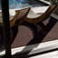 Striped Area Rug in Gray/Brown-67853165