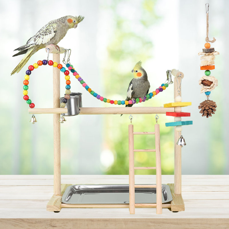 17,7 po Bird Play Gym